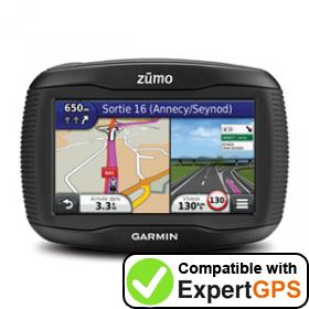 garmin 310